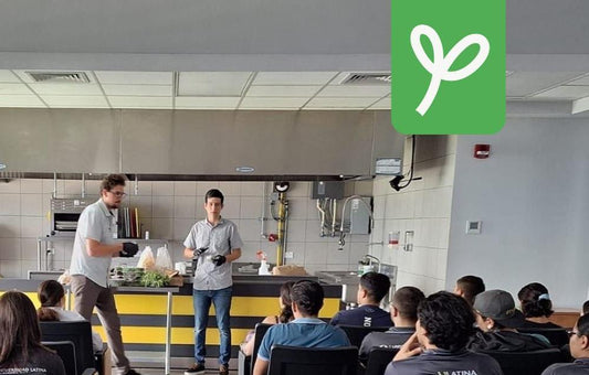 VERTI : CONSULTORIAS